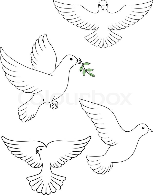 628x800 Dove Vector Stock Vector Colourbox