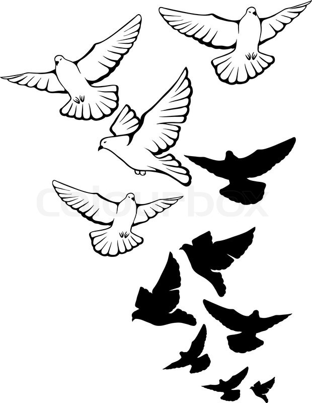 620x800 Flying Pigeons Background Hand Drawn Vector Illustration Stock