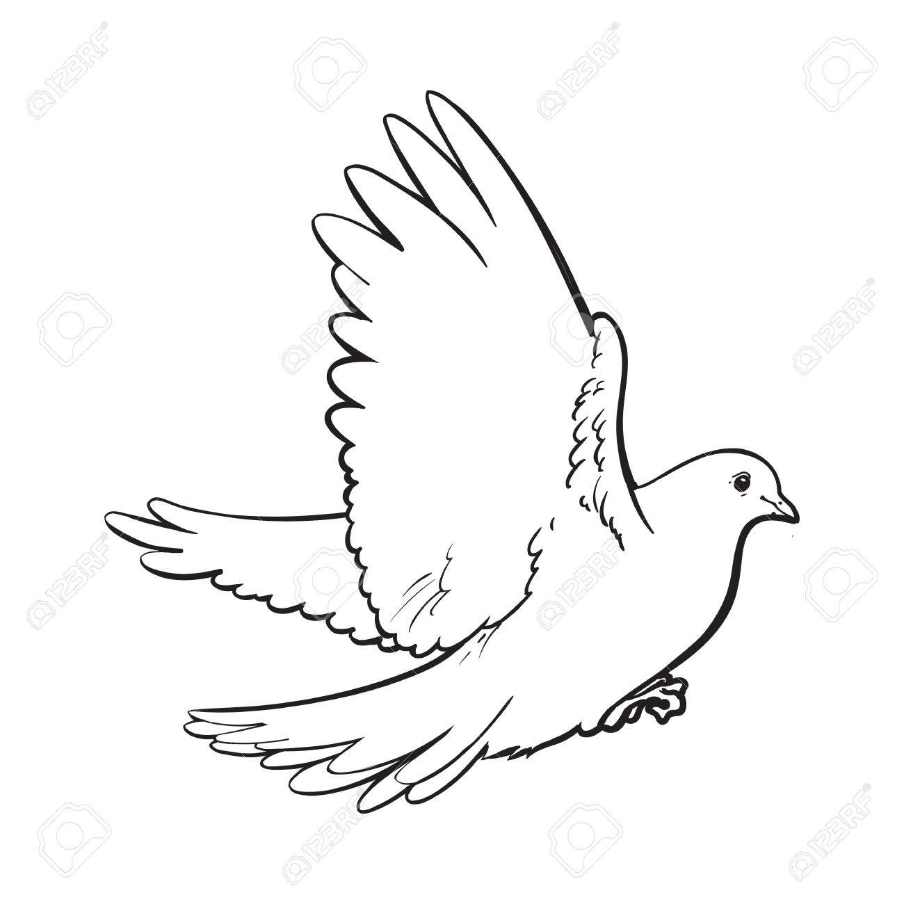 1300x1300 Free Flying White Dove, Sketch Style Vector Illustration Isolated