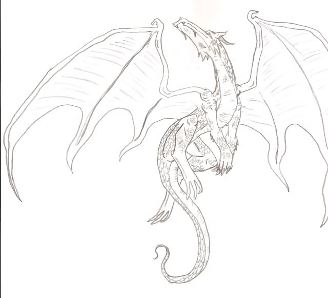 640x580 Dragon Drawing
