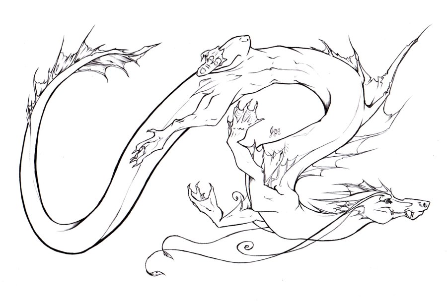 900x609 Flying Dragon By Chinchillatwork