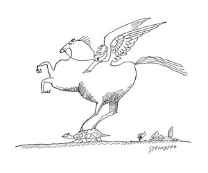 300x250 Flying Horse Drawings Fine Art America