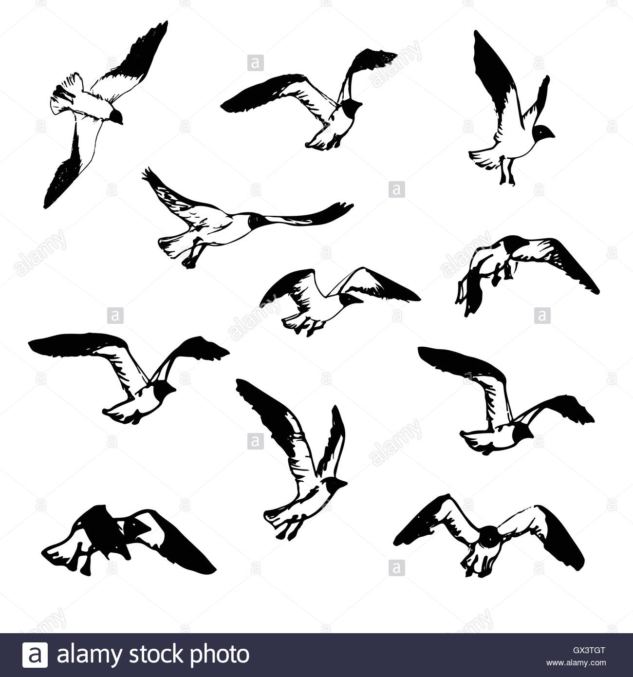 1300x1390 Hand Drawn Flying Seagulls. Black And White Illustration Sketch