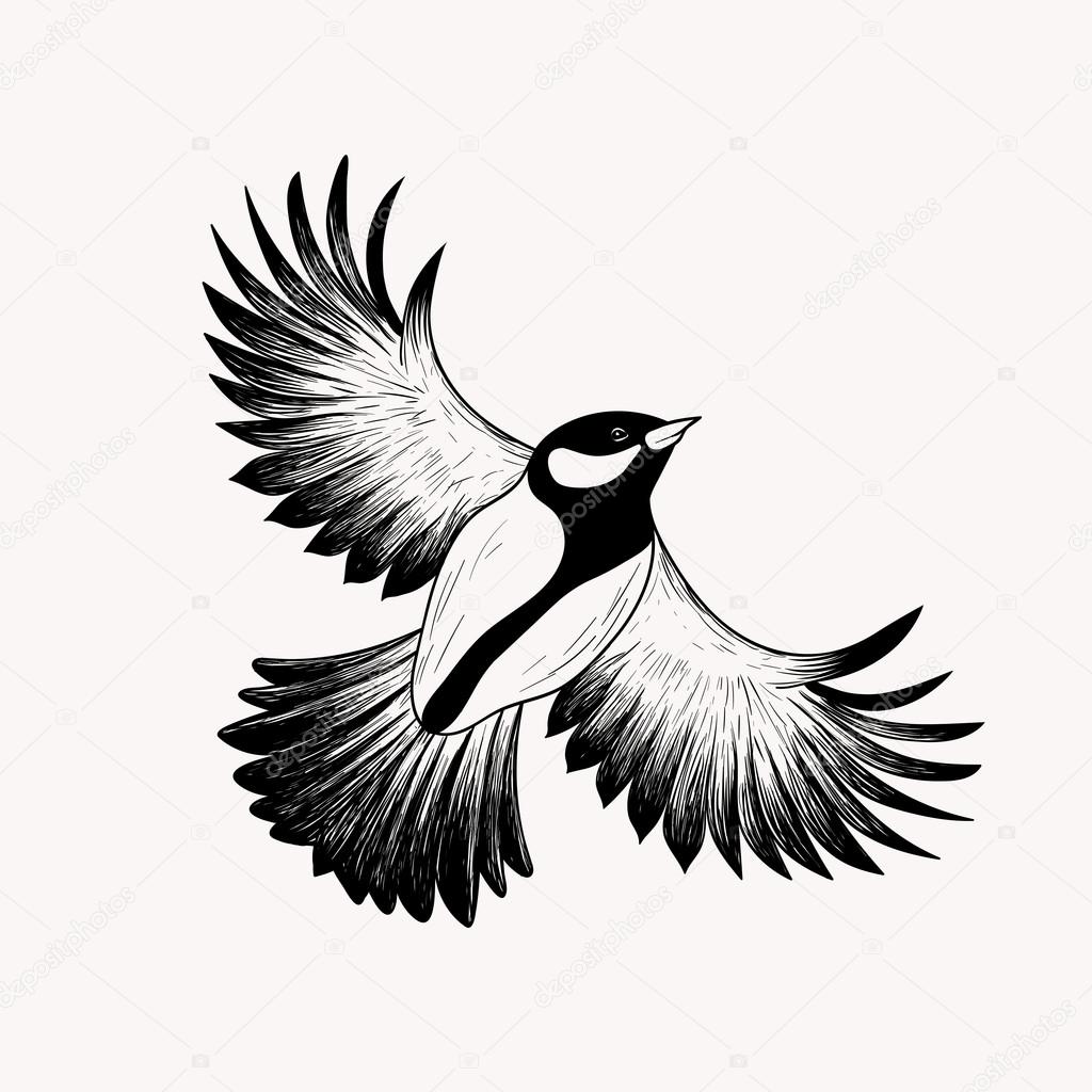1024x1024 Sketch Flying Bird. Hand Drawn Vector Illustration Isolated. Eng