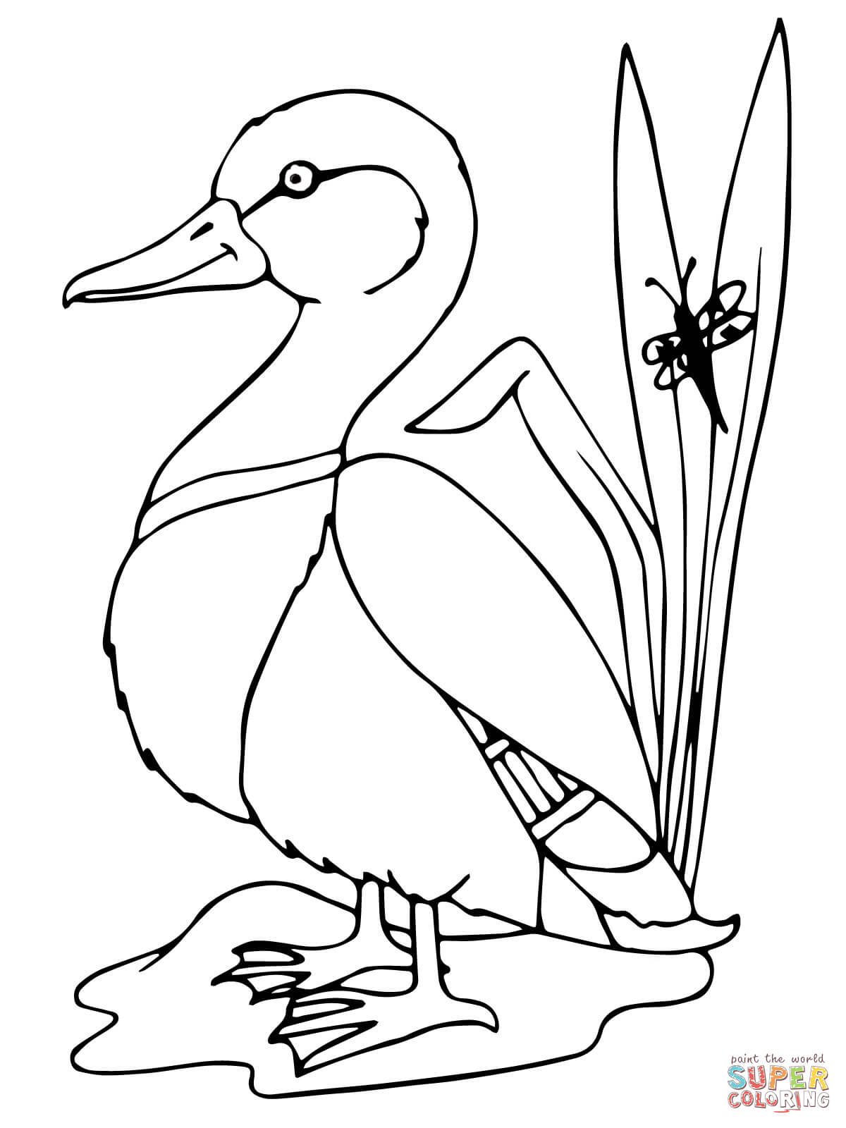 1200x1600 Mallard Duck Coloring Page Free Printable Coloring Pages