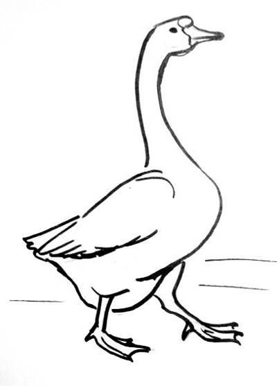 400x557 The Best Goose Drawing Ideas On Doodle Ideas