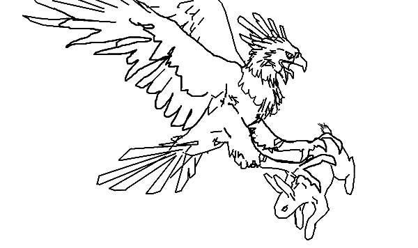 600x356 Harpy Eagle Pencil Sketch Coloring Pages Coloring Sun