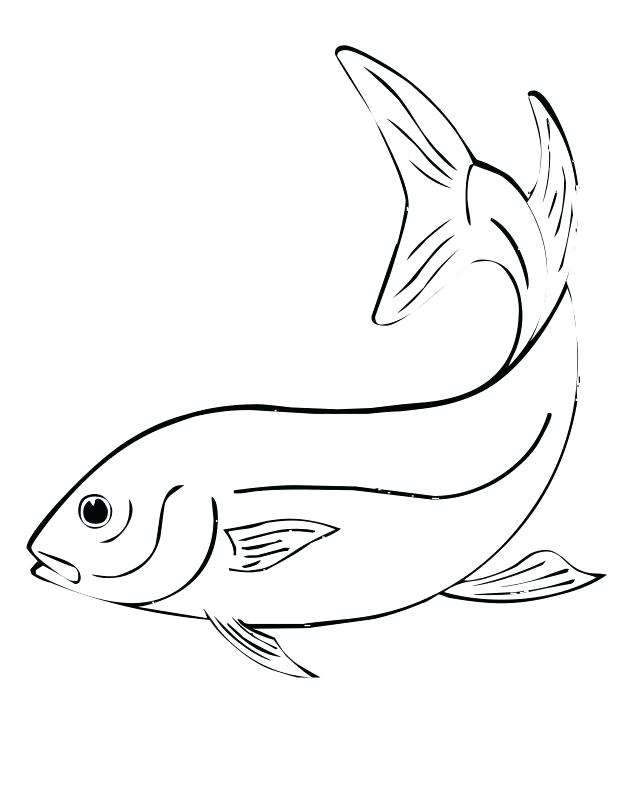 618x800 Flying Fish Coloring Page Pin Coloring Pages Christmas For Adults