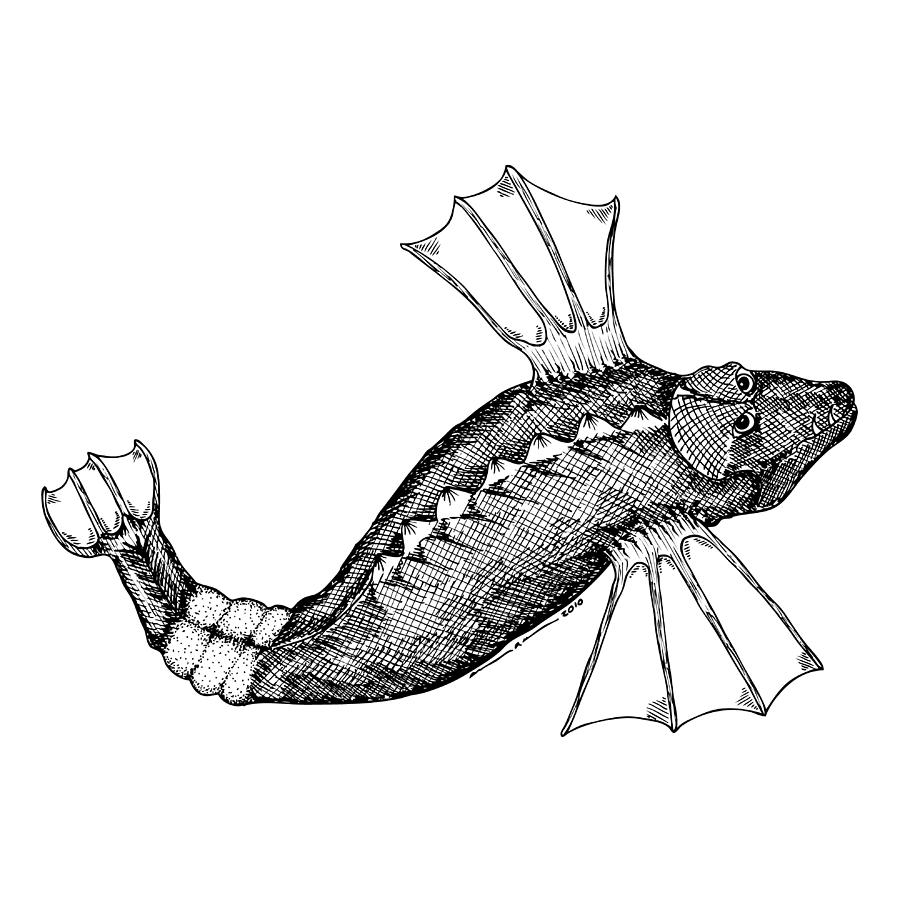 900x900 Flying Fish Drawing By Karl Addison
