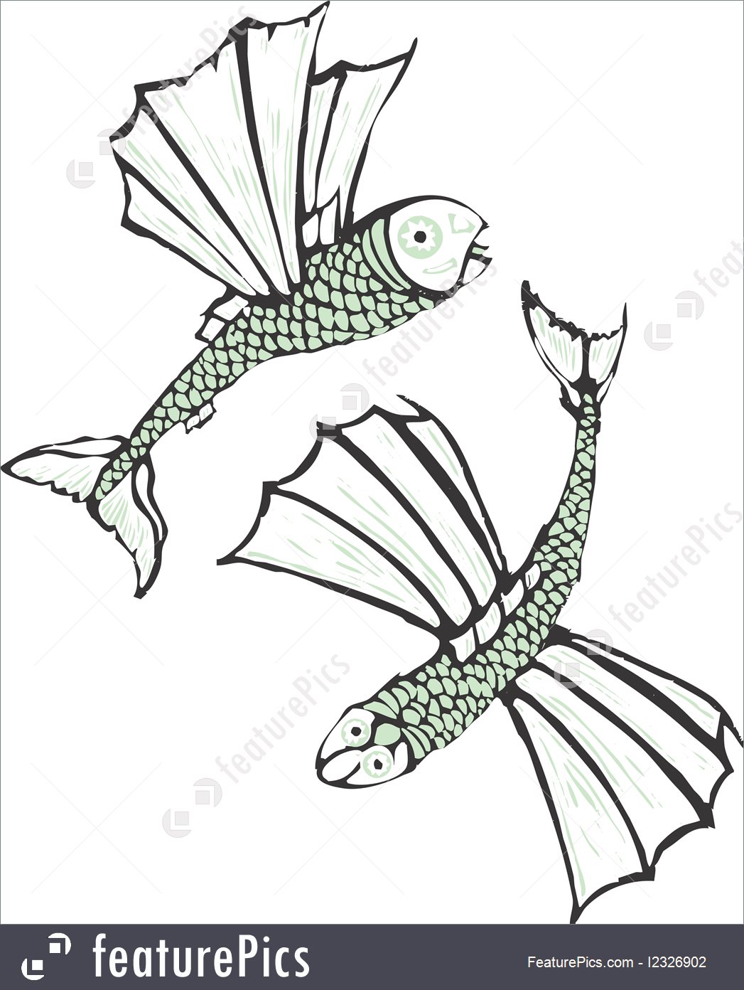 1047x1392 Flying Fish