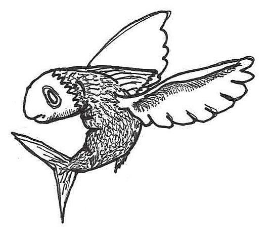 538x476 Kirsa Kirsa Corrine