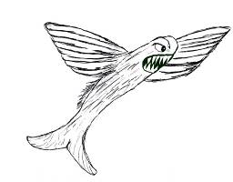 256x200 Product Photos