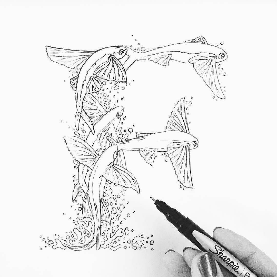 1080x1080 F Is For Flying Fish. Type By @marlamakesstuff