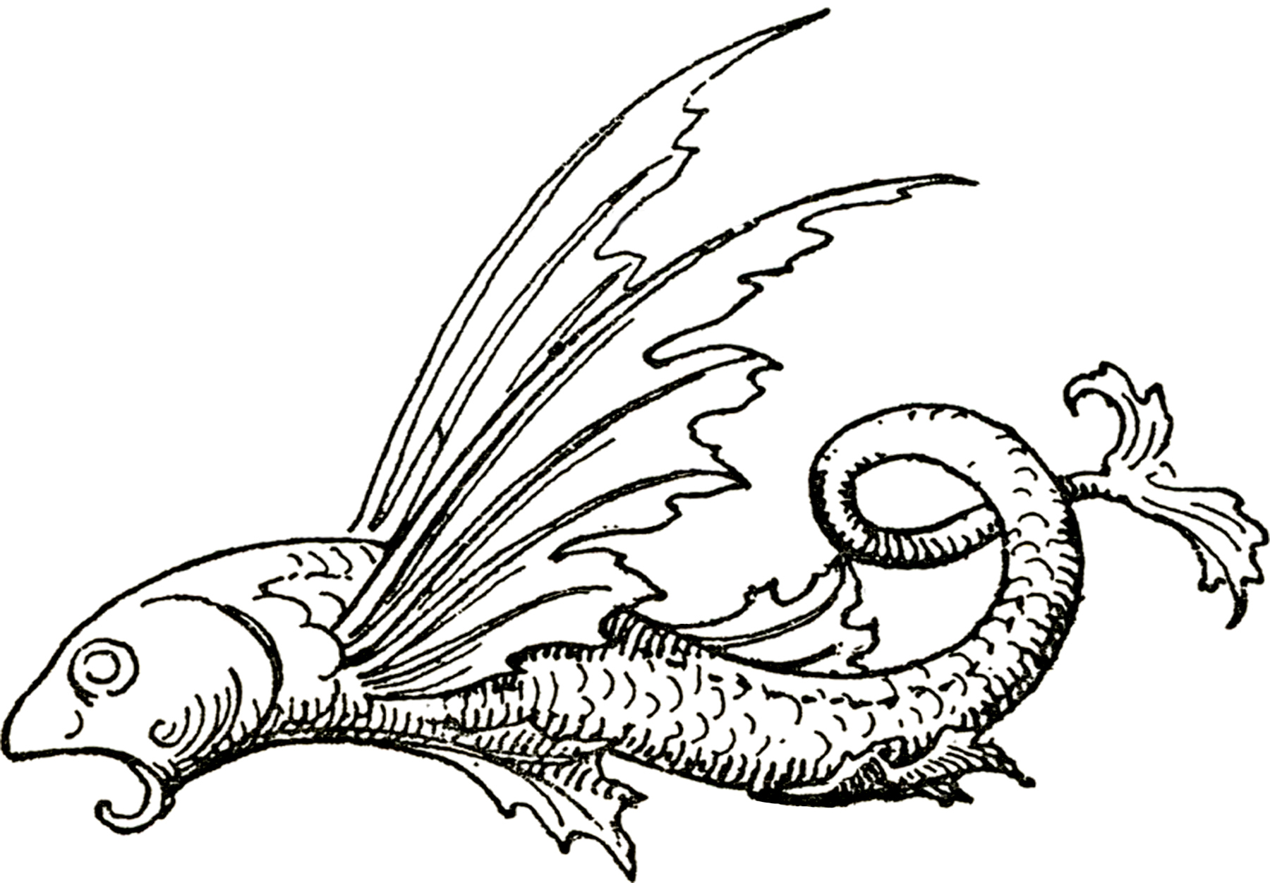 1800x1251 Fancy Flying Fish Images!