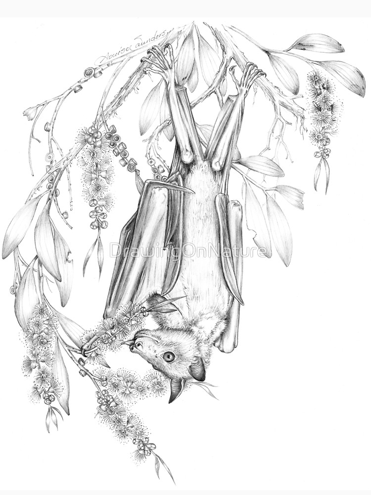 750x1000 Australian Little Red Flying Fox Unisex T Shirt By