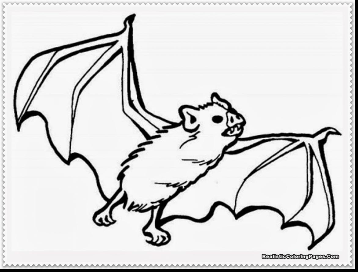 1172x891 Good Realistic Bat Coloring Pages With Bat Coloring Pages
