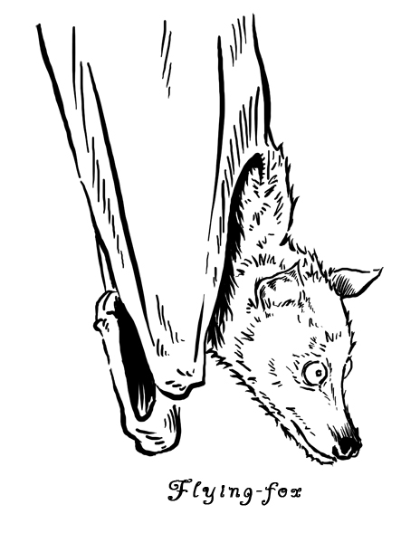 464x589 Drawing Keeve Neo