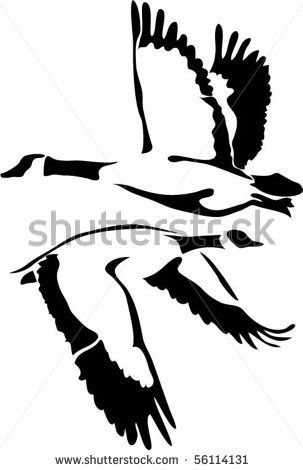 303x470 Google Image Result