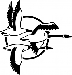 251x260 Graphics Amp Phrases Rock N Creations