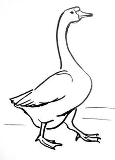 236x328 Learn How To Draw A Canada Goose (Birds) Step By Step Drawing
