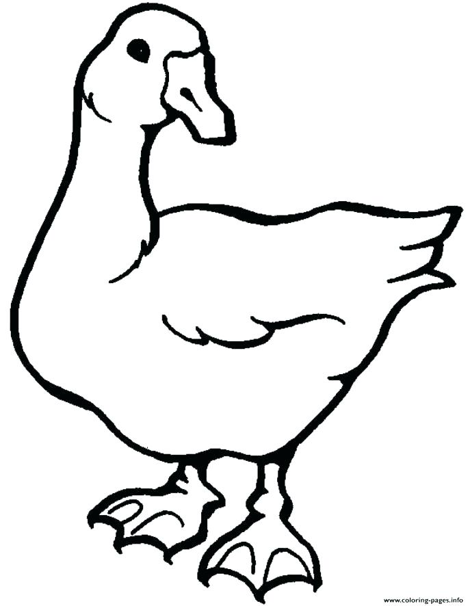 687x886 Goose Animal Coloring Pages Affan
