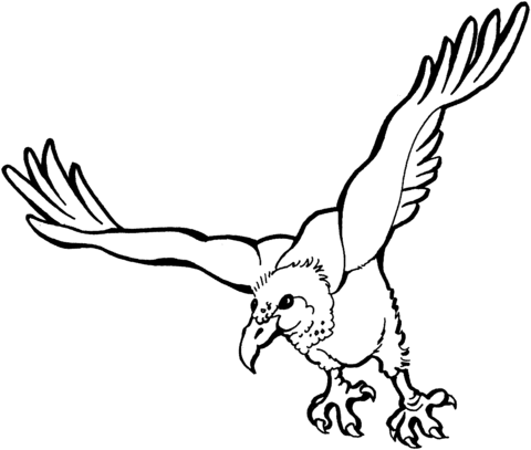 480x407 Flying Vulture Coloring Page Free Printable Coloring Pages