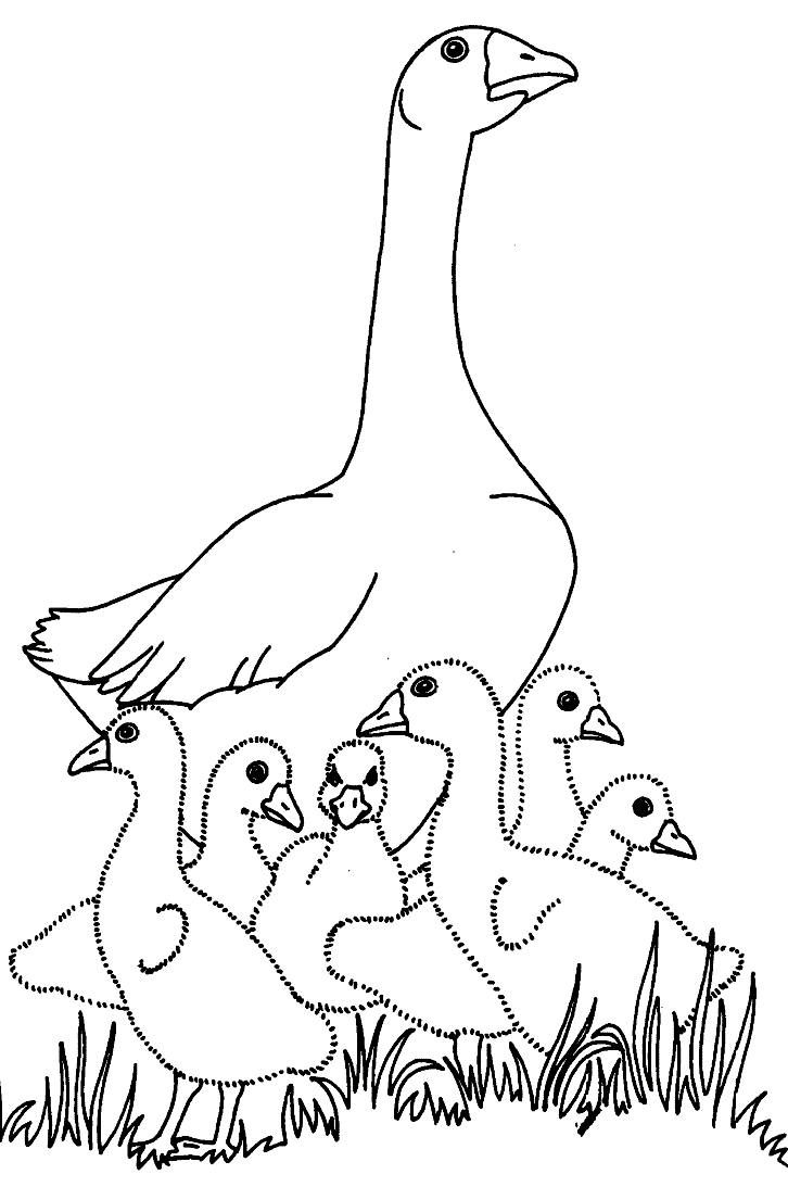 726x1093 Goose Coloring Pages