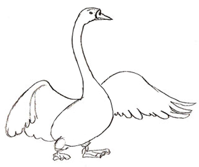 400x336 How To Draw A Swan