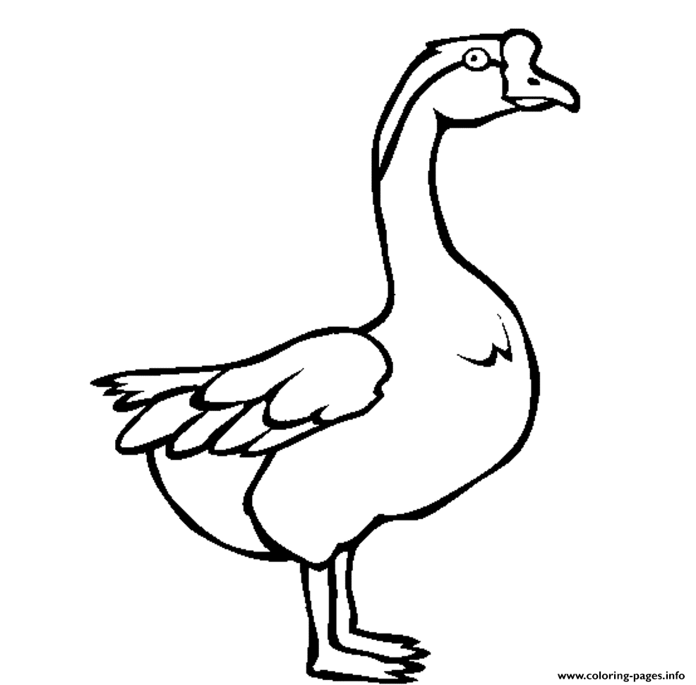 986x970 Printable Animal Coloring Pages Swan Goose