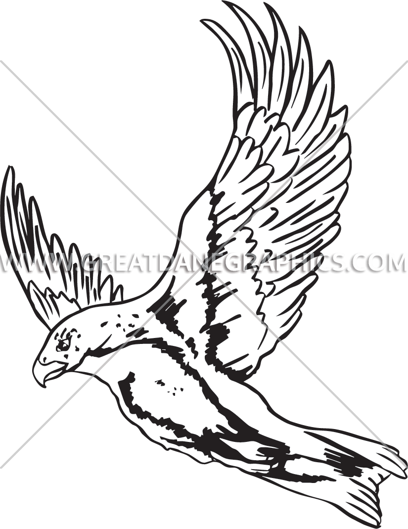 825x1069 Flying Falcon Production Ready Artwork For T Shirt Printing