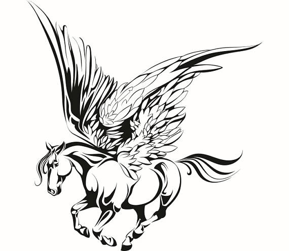 570x496 Pegasus