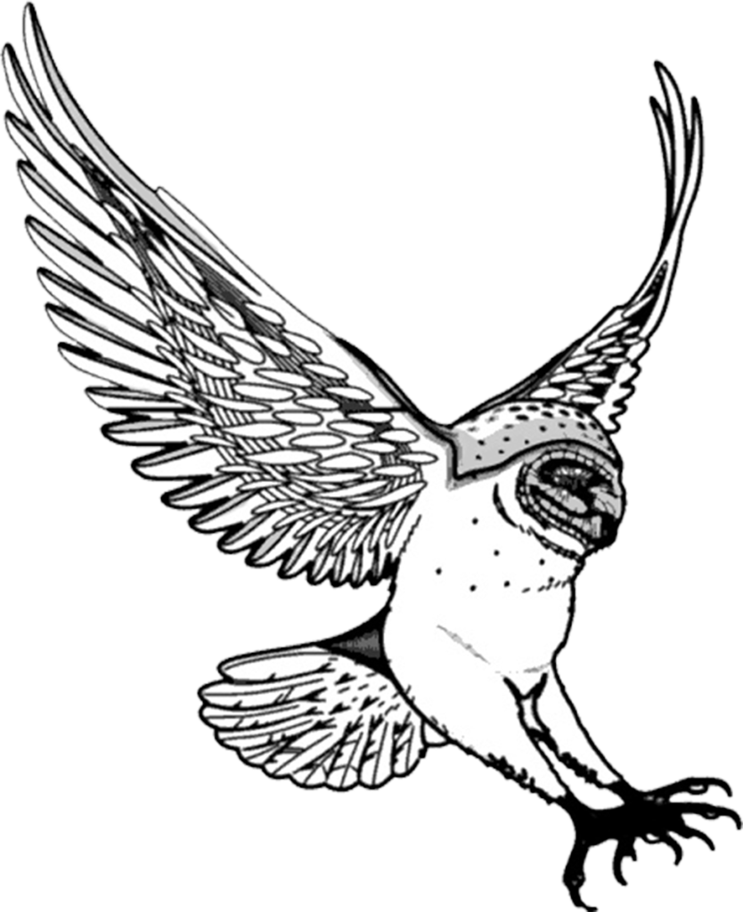 834x1024 Free Flying Owl Clipart Images (21 Images)