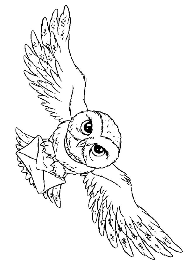 667x942 Owlet Clipart Harry Potter