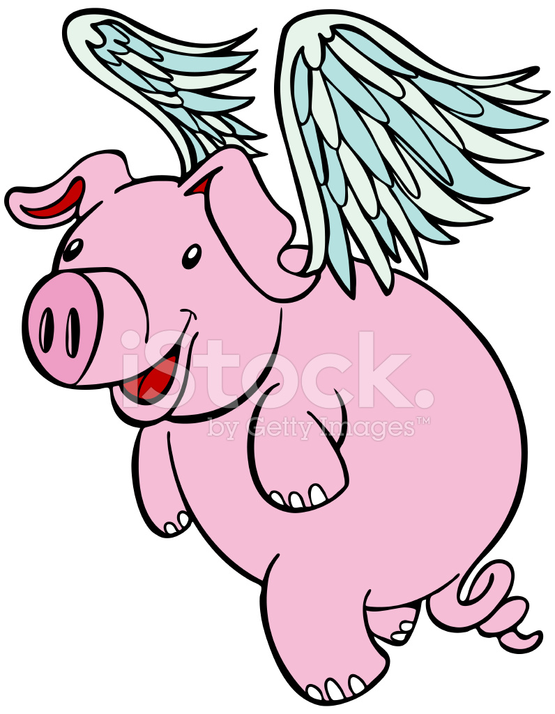 796x1024 Flying Pig Cartoon Stock Vector