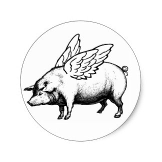 324x324 Flying Pig Stickers Zazzle