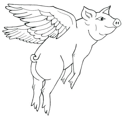 500x473 Best Of Pig Coloring Page Images Flying Pig Coloring Pages Pig