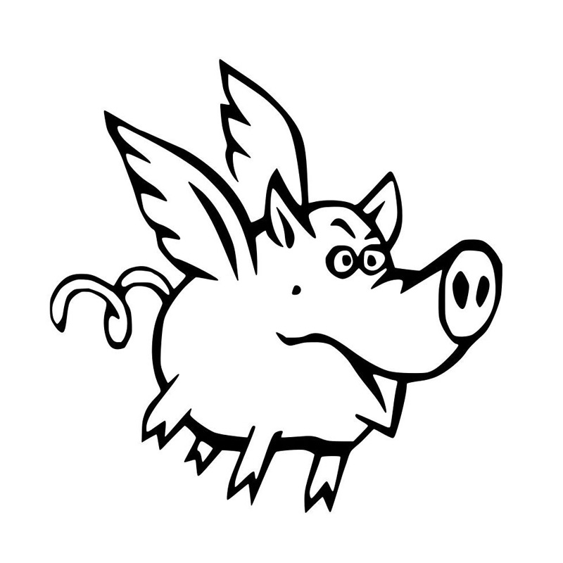 800x800 Sassy Flying Pig Vinyl Car Sticker Decal Flying Pig Gifts