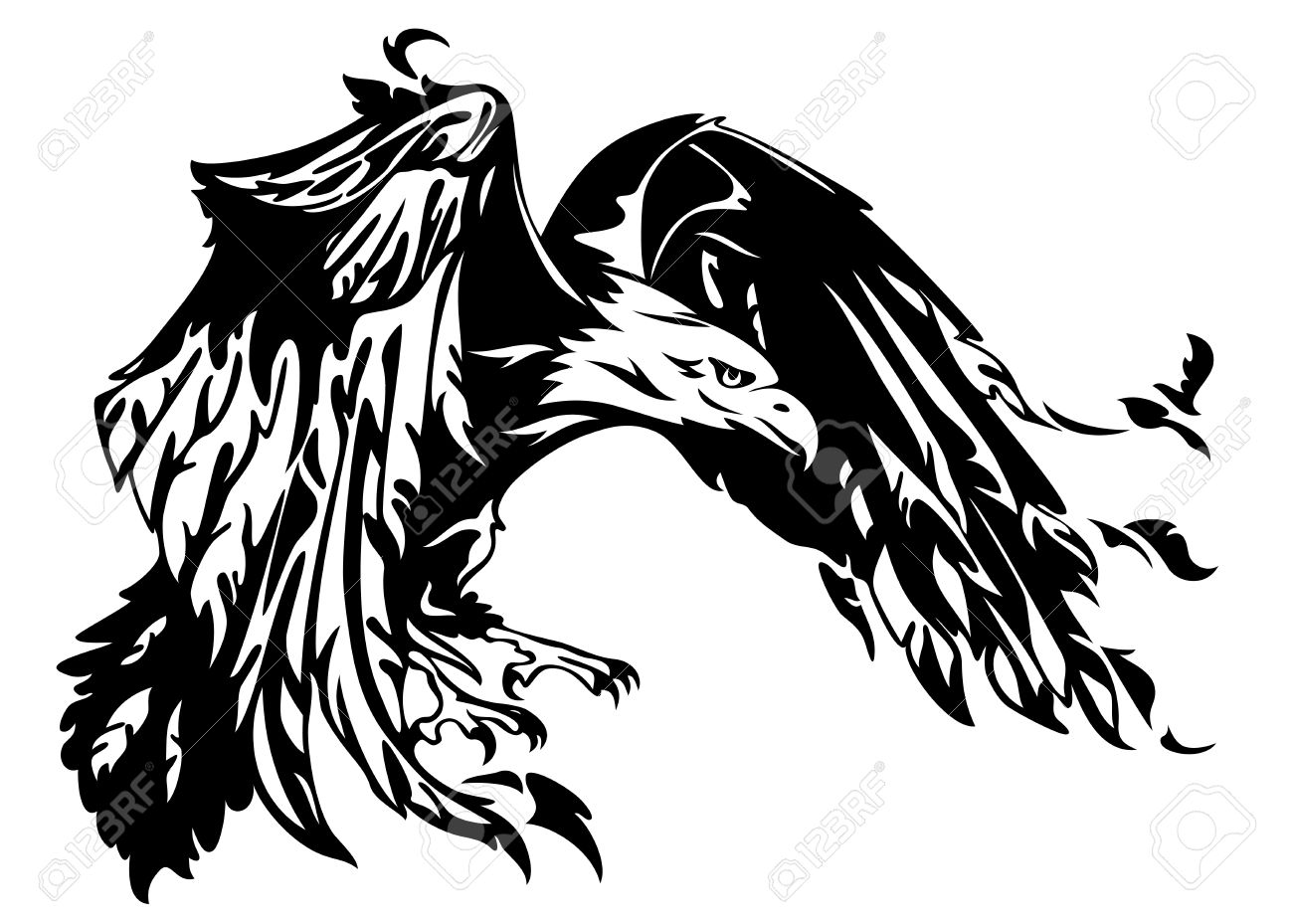 1300x929 Flying Eagle Vector Illustration