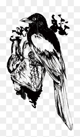 260x443 Raven, Halloween, Terror, Cartoon Hand Drawing Png Image For Free