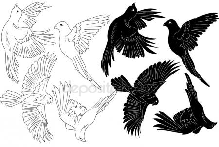 450x302 Wren Stock Vectors, Royalty Free Wren Illustrations