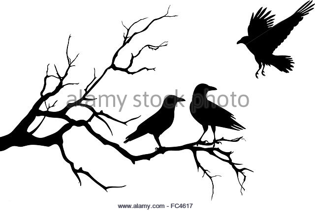 640x430 Crow Flying Stock Vector Images
