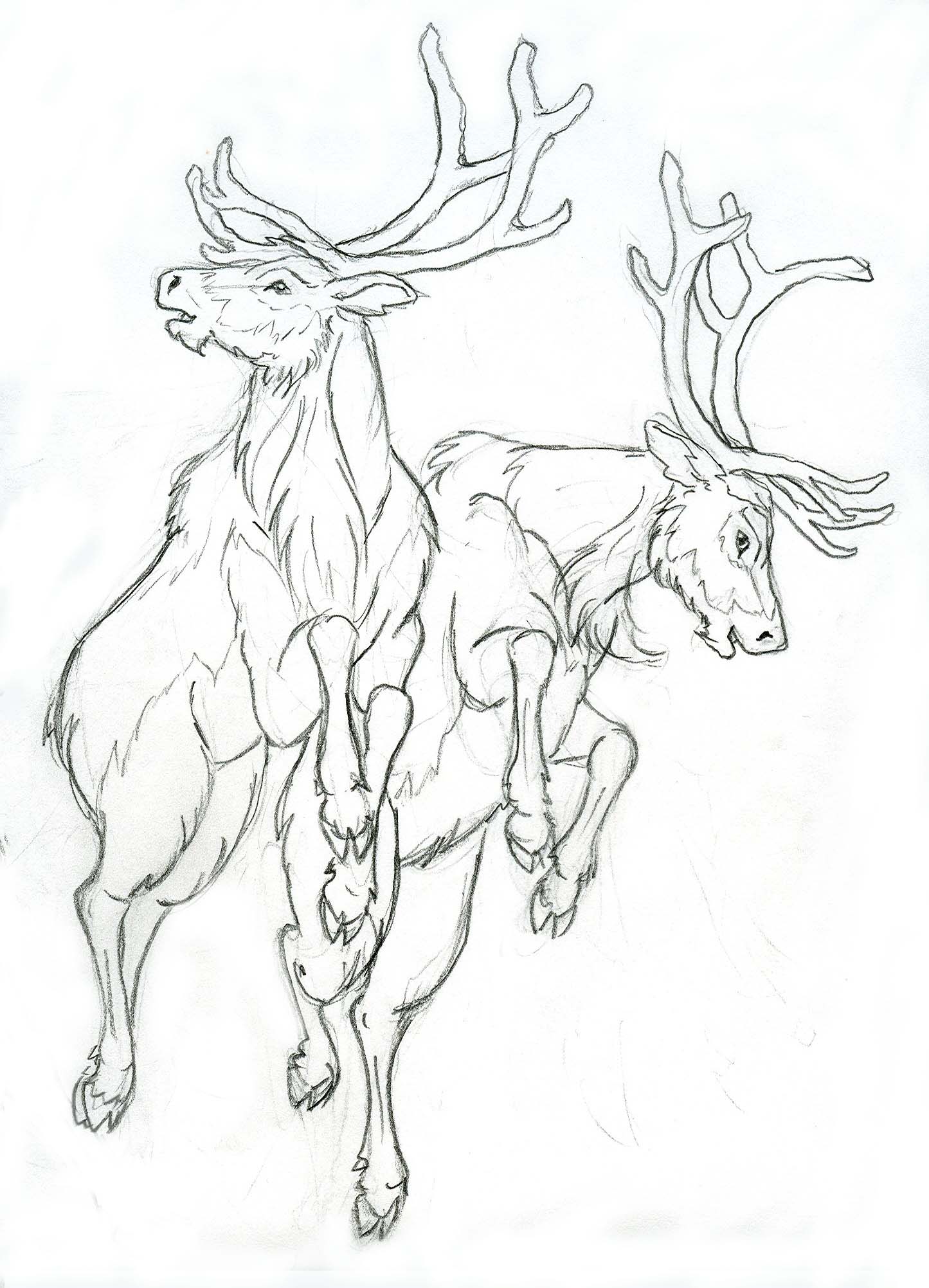 1445x2003 More Reindeer By Lizzy23