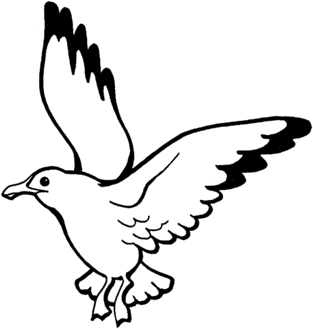 457x480 Flying Seagull Coloring Page Free Printable Coloring Pages