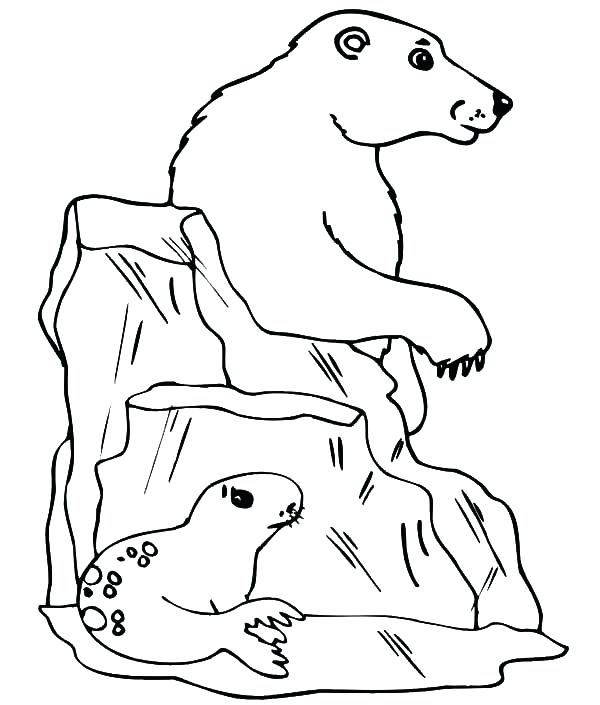 600x705 Seagull Coloring Page Seagull Hide From Polar Bear Behind Iceberg