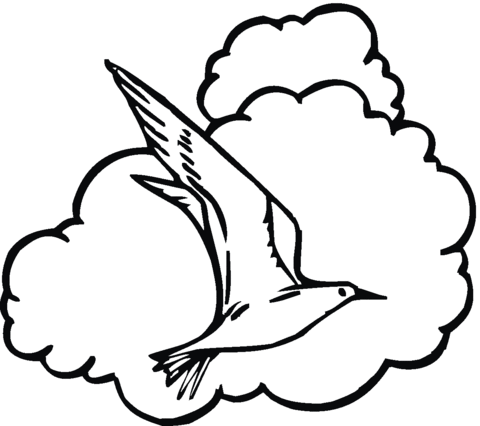 480x426 Seagull In The Sky Coloring Page Free Printable Coloring Pages