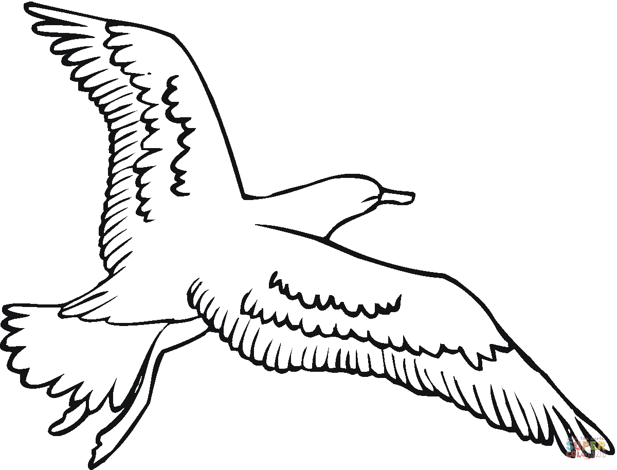 1200x914 Seagull Is Flying Coloring Page Free Printable Coloring Pages
