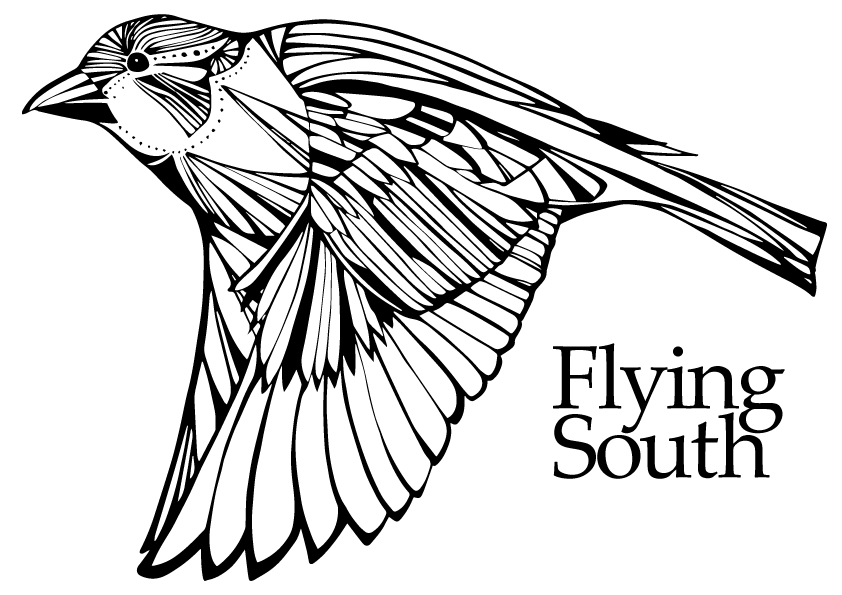 842x595 Flying South Setting The Stage For Open Expressions On Mental