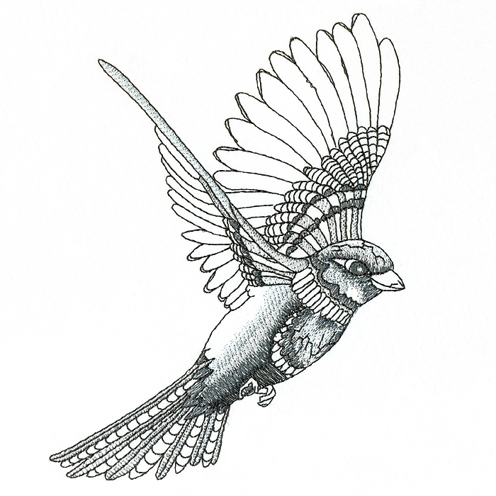 700x700 Flying Sparrow M Magic Stock Art