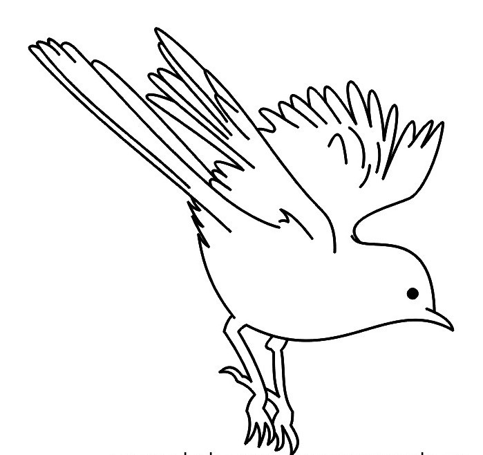 699x658 Flying Sparrow Outline