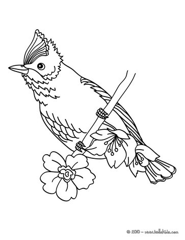 363x470 Flying Bird Coloring Pages